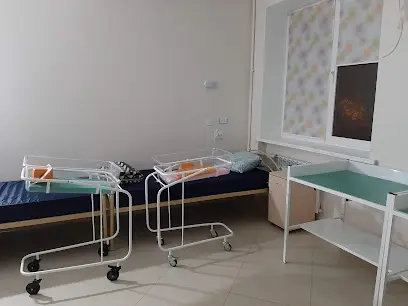 Київський міський пологовий будинок № 1