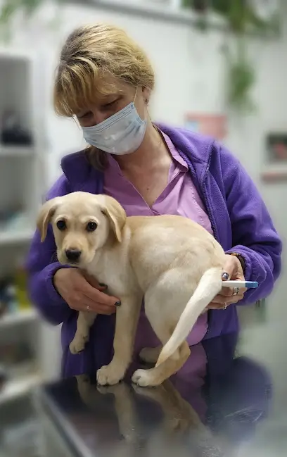 Ветеринарна клініка "Центр сучасної ветеринарної медицини" - Борщагівка