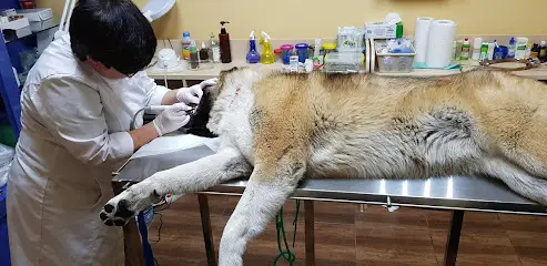 Ветеринарна лікарня "Animal Care Clinic"(Клініка лікаря Зіміної)