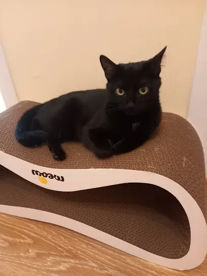 Зоомагазин Bark & Tail