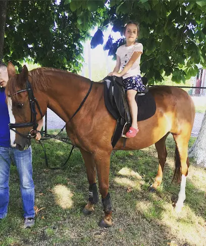 Глібівка Horses Hills