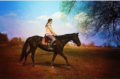 Конный клуб "Кениг"