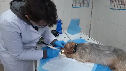 Ветеринарна клініка №4 (державна)