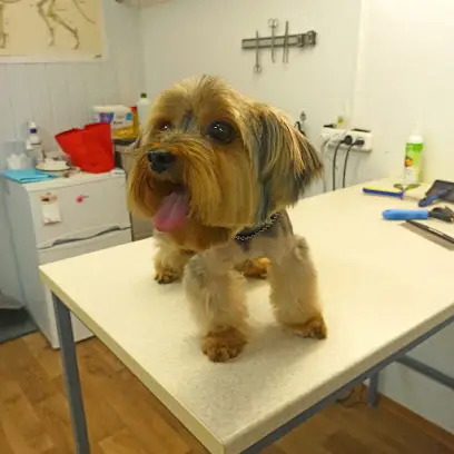 Ветклініка VetHelp