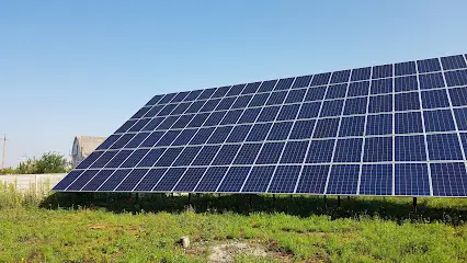 Зелений прибуток, ТОВ