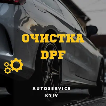 Мойка сажевого фильтра wolfauto.com.ua Удаление Сажевого фильтра DPF