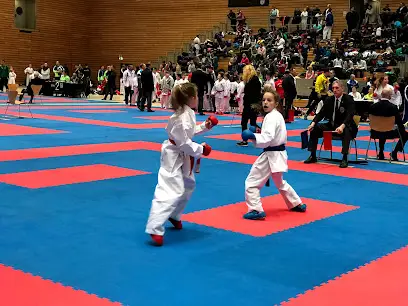 Карате Бокс Shogun Fight Club (SFC) Hmyri