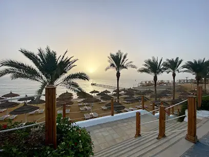 Нимфа Тревел