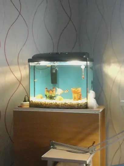 Чистка аквариумов Киев