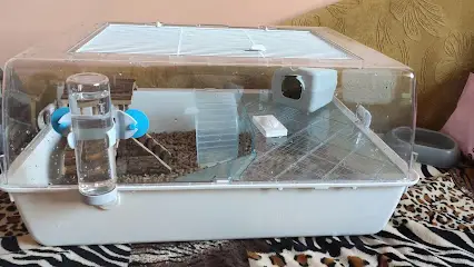 Зоомаркет MasterZoo