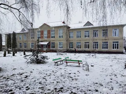 Радошівска загальноосвітня школа