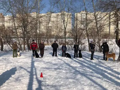 Школа "Альфа"