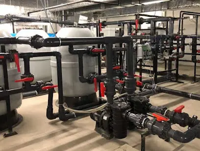 V4Y pools and funs time