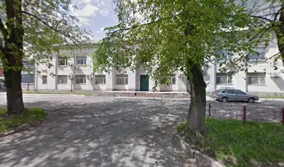 Zozulia Wrapping&Desing