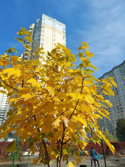 Молодіжний Квартал