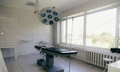 КОМУНАЛЬНЕ НЕКОМЕРЦІЙНЕ ПІДПРИЄМСТВО ДЕМИДІВСЬКА ЦЕНТРАЛЬНА РАЙОННА ЛІКАРНЯ ДЕМИДІВСЬКОЇ СЕЛИЩНОЇ РАДИ