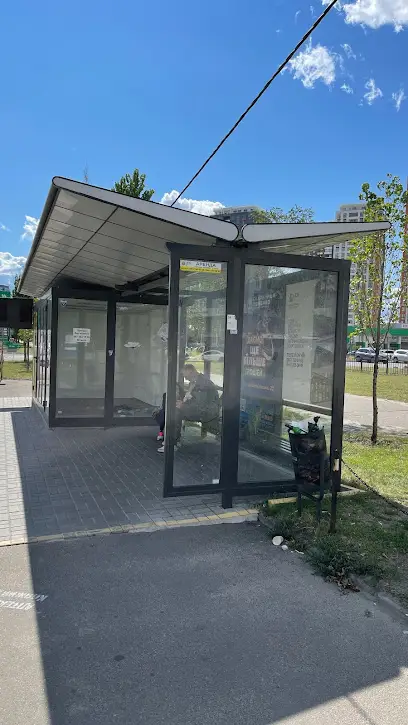 вул. Княжий Затон