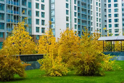 Новопечерські Липки