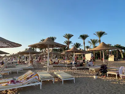 Туристична компанія "Авіатор"