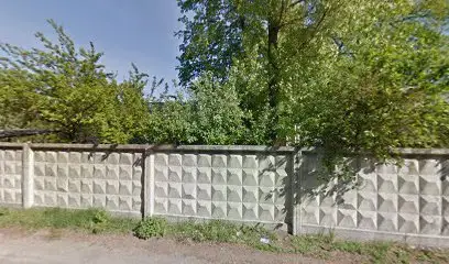 Твоя дорожка