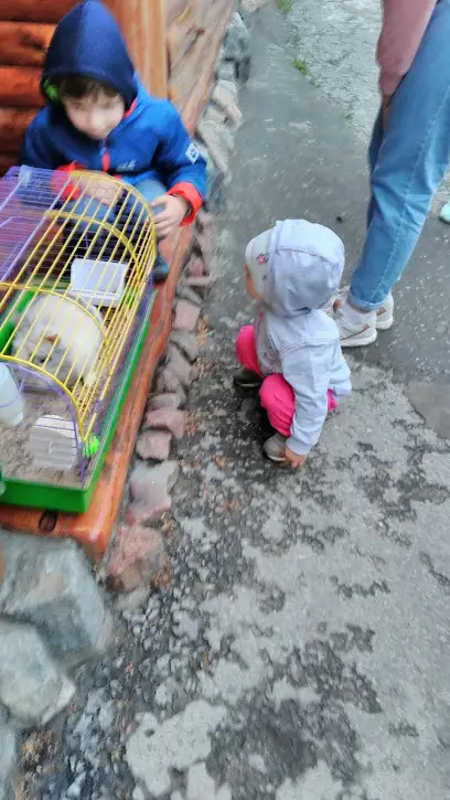 Відкоси на вікна та двері