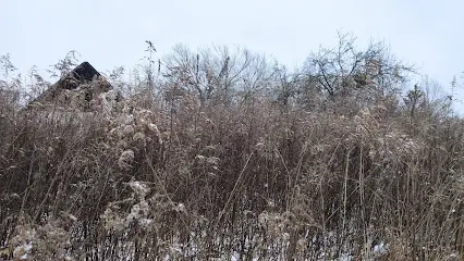 Малинське лісництво