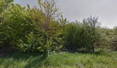 Анвіт транс сервіс