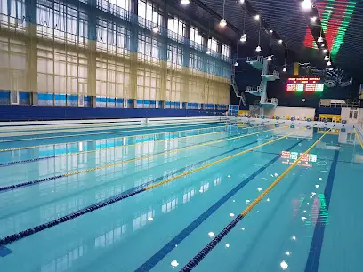 Палац підводного спорту