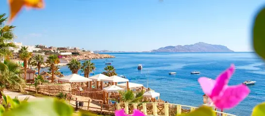 Турагенція "Поїхали з нами!"