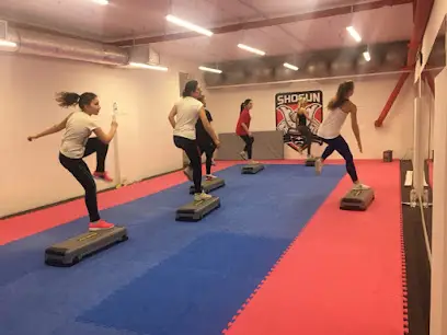 SFC (Shogun Fight Center)