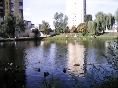 Сваты в Киеве