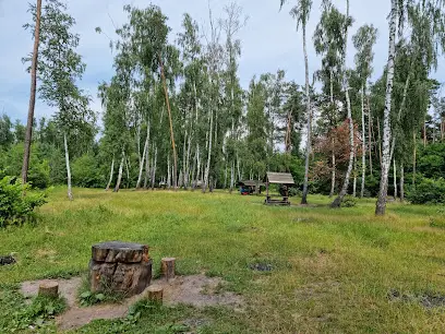 Парк відпочинку &laquo;Берізка&raquo;