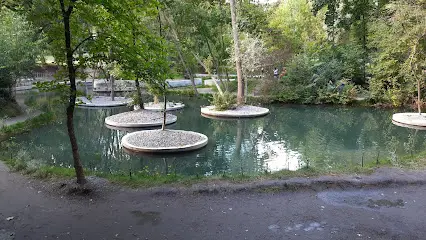 Ботанічний Сад