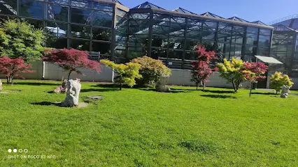 Ботанічний сад ХНУ