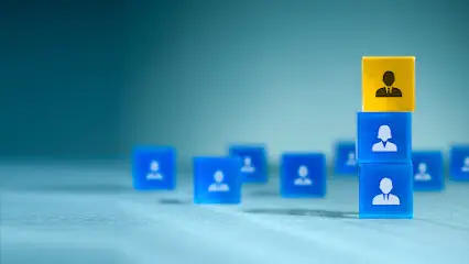 International Consalting