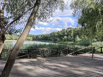 Муніципальна охорона