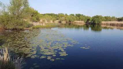 УООР Жорж Сафронович