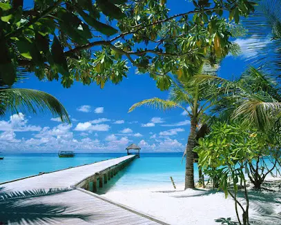 "Тур-малина"