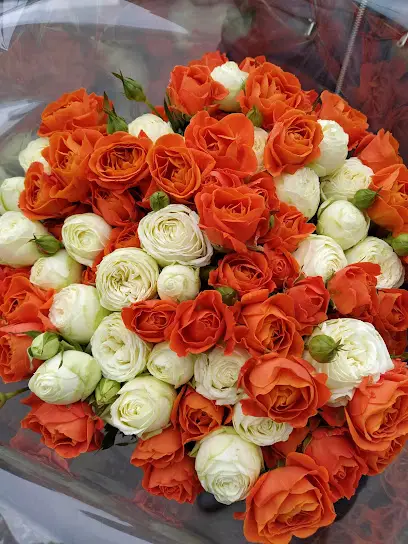 Камелія - квіти, букети