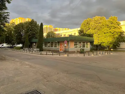 БагатоЛосося