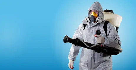 Уничтожитель: дезинфекция, дезинсекция помещений