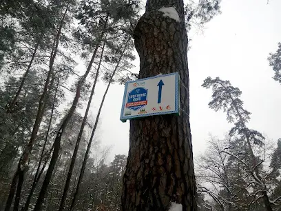 Спортивне Коло