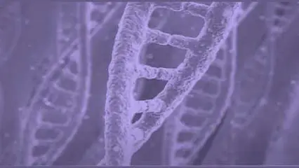 Анализ ДНК-тест на отцовство в Киеве - лаборатория Савон