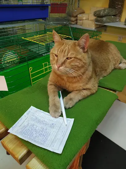 Зоомагазин Лап-Усик