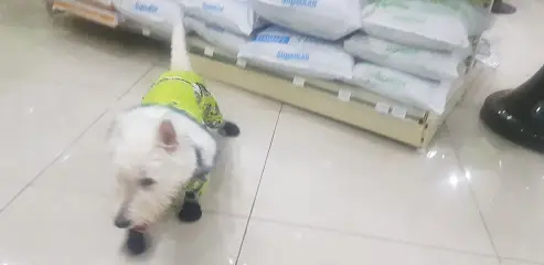 Зоомагазин Фауна