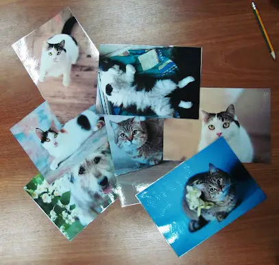 ФОТОПОСЛУГИ. КОПІ-ЦЕНТР. ВІЗИТКИ