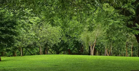 Компания Evergreen