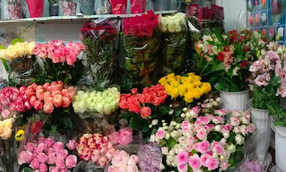 Квіти від А