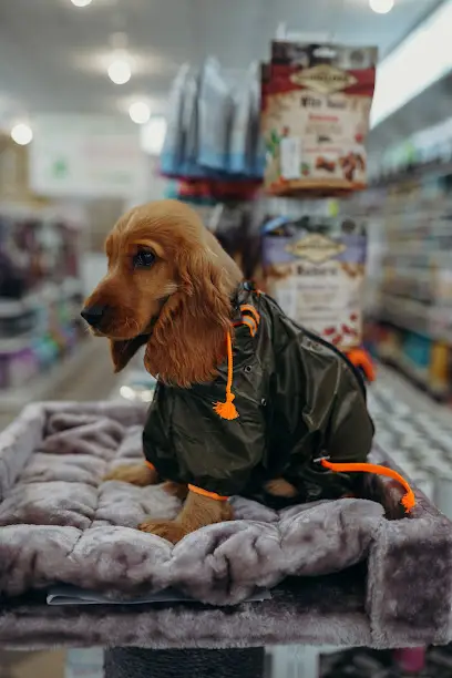 Зоомагазин &laquo;Зоолюкс&raquo;