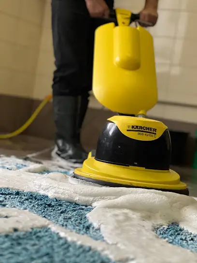 Хімчистка Килимів